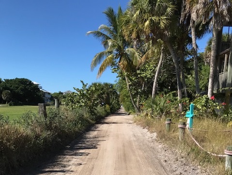 You are currently viewing Road Improvements Continue